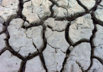6 Mudflat walking